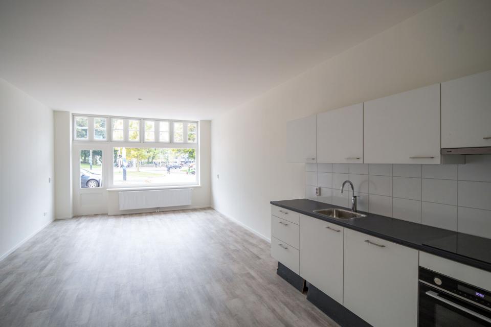 Appartement leeg met dakraam en keuken